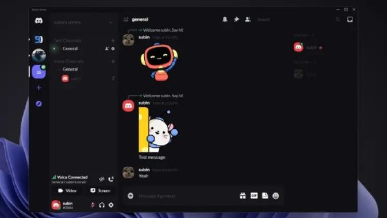 Discord Web Themes