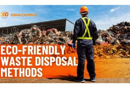 Eco-Friendly Dumping for Smoother Business