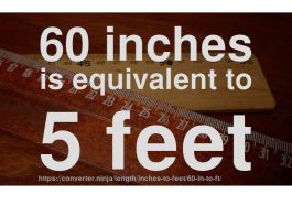 How Many Feet are 60 Inches_