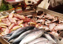 How to Run Fishmonger Business_
