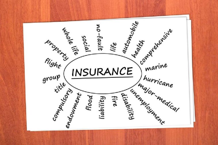 Types of Insurance that Every Business Needs