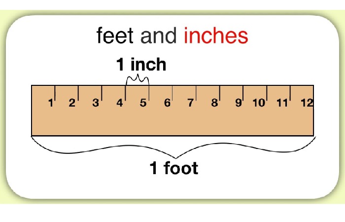Understanding the Basics