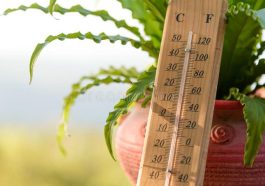 What is 15 Degrees Celsius in Fahrenheit_ (1)