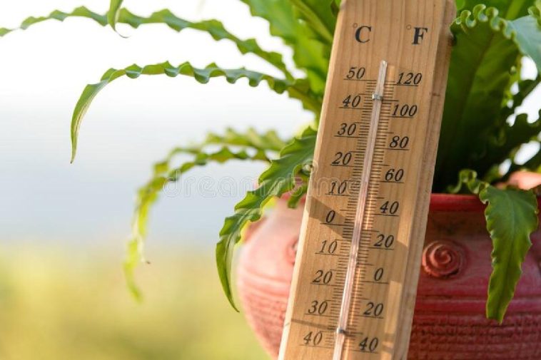 What is 15 Degrees Celsius in Fahrenheit_ (1)