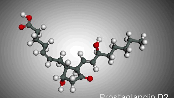 hydroxyzine hydrochloride tablet uses in hindi